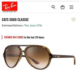 Cat 5000 Ray Ban Sunglasses